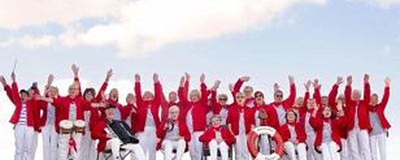 SommerKultur: Delme Shanty Singers
