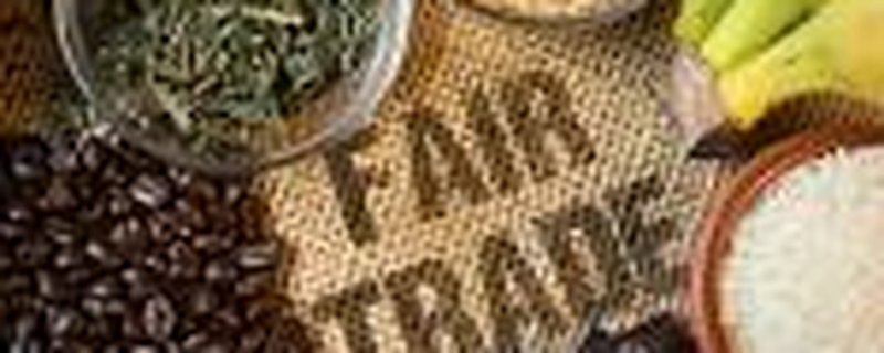 Treffen der Fair-Trade-Steuerungsgruppe Lemwerder