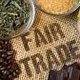 Treffen der Fair-Trade-Steuerungsgruppe Lemwerder