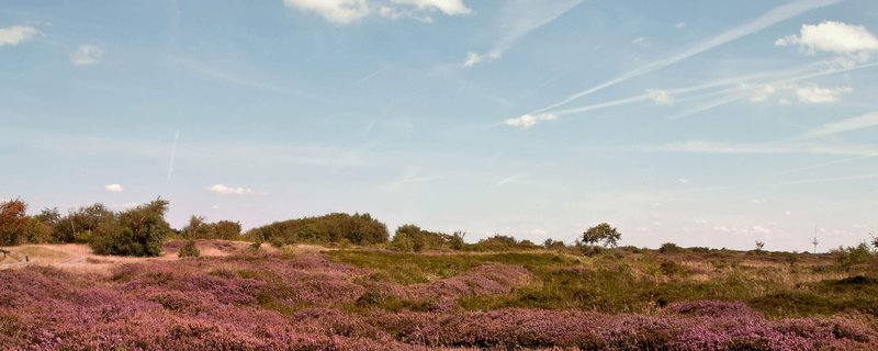 NaturErlebnis Küstenheide
