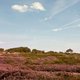 NaturErlebnis Küstenheide