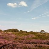 NaturErlebnis Küstenheide