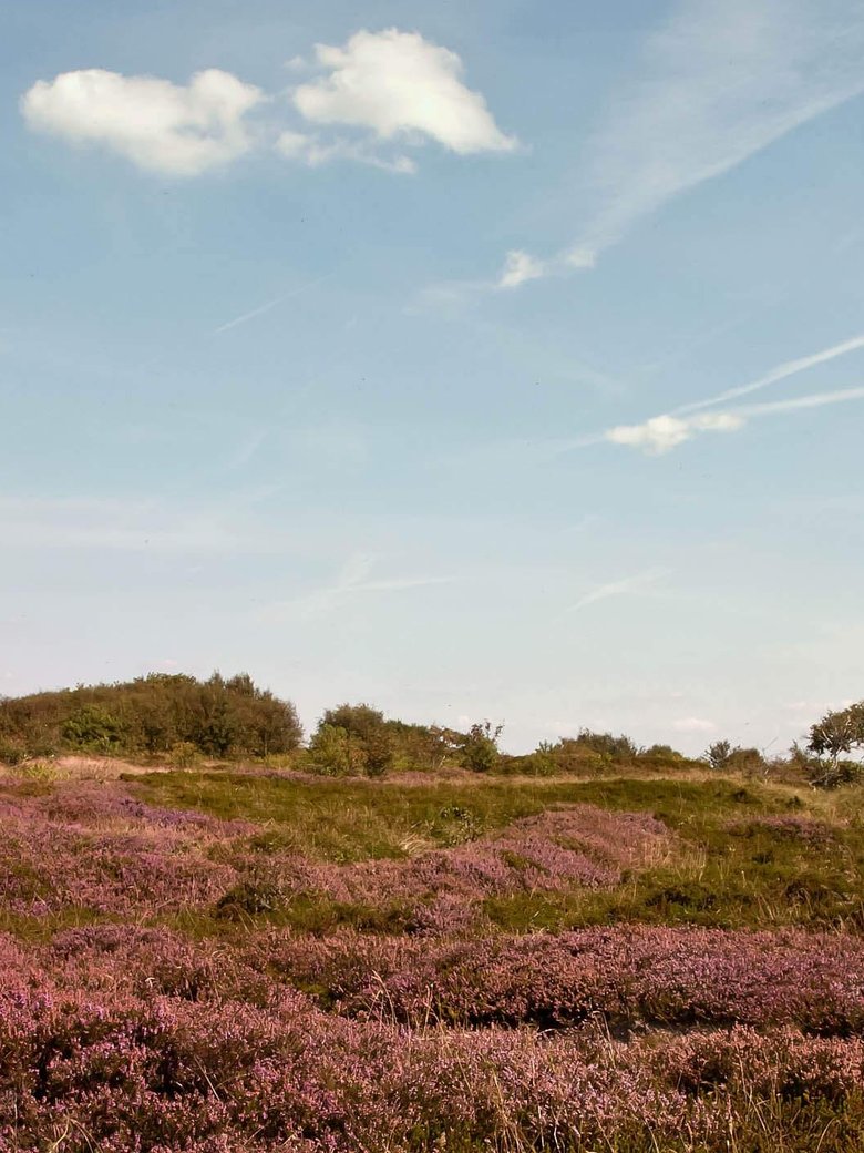 NaturErlebnis Küstenheide