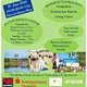 MidSommar-Fest am 20. Juni 2026 von 16:00-20:00 Uhr auf dem Syker Rathausplatz