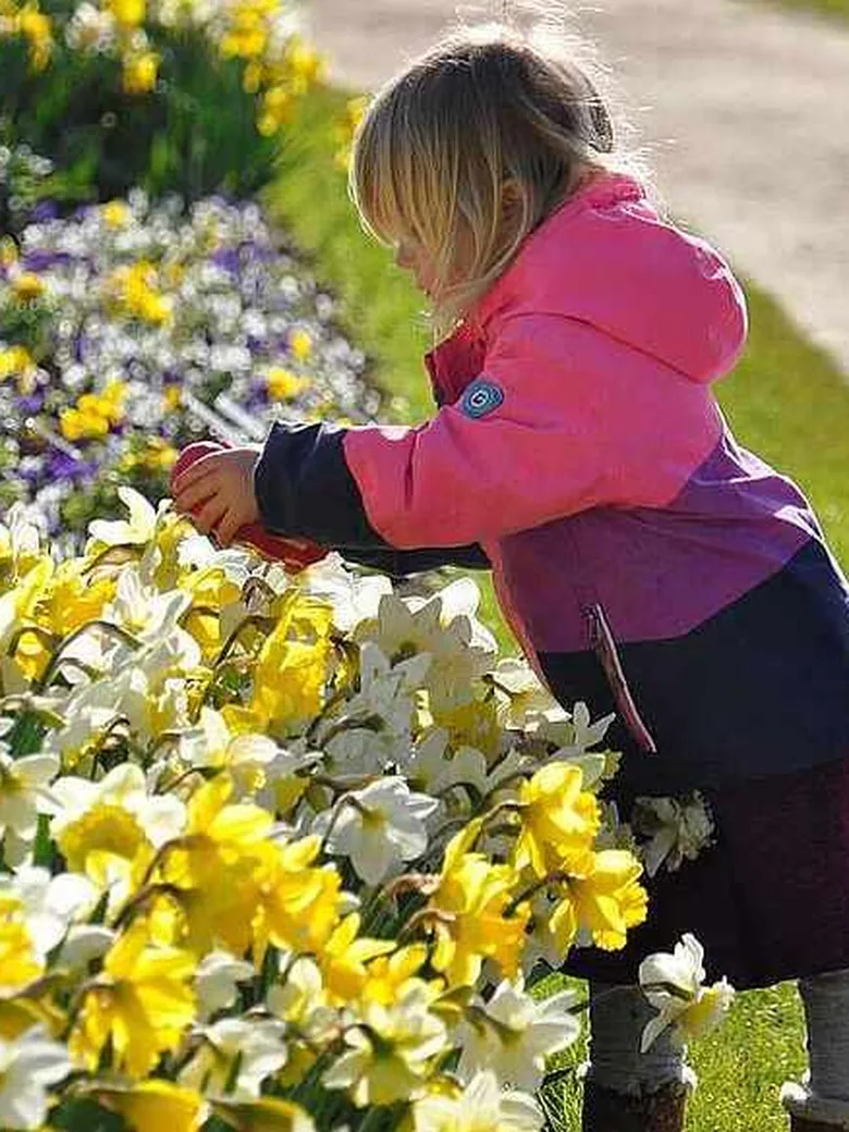 Sonderöffnung: Frühlingsboten im Park