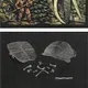 "Die Funde von Lehringen und das neue Bild des Neandertaler"
