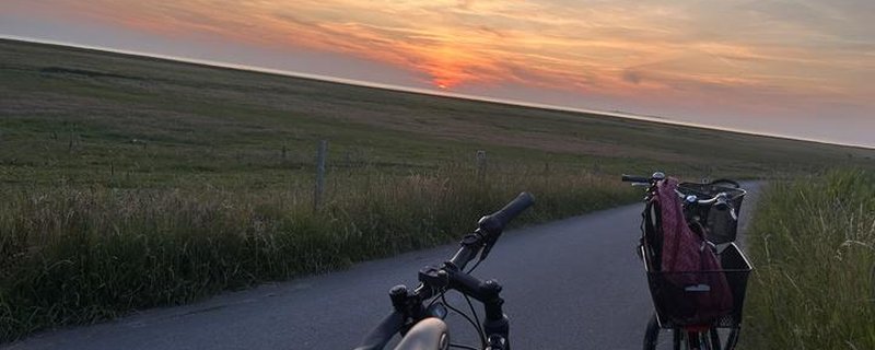 Durch die Küstenheide am Abend