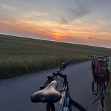 Durch die Küstenheide am Abend