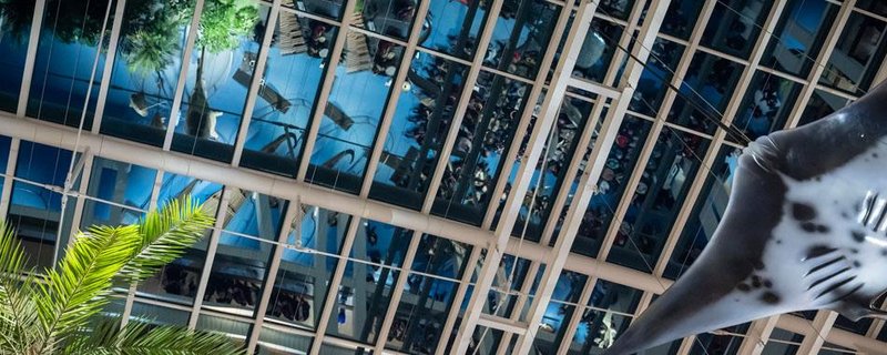 Inselmatinee: Geschnitzte Erinnerung – was uns Ahnenfiguren aus Papua-Neuguinea erzählen