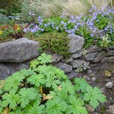Freizeitgartenbau: Praxisworkshop - Wir bauen eine Trockenmauer