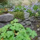 Freizeitgartenbau: Praxisworkshop - Wir bauen eine Trockenmauer