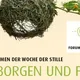 geborgen und frei. Mystik als Lebensstil. Mit…