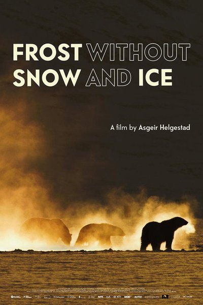 Frost ohne Schnee und Eis