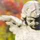 Gottesdienst zum Volkstrauertag