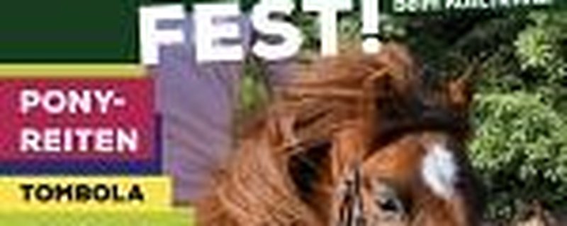 Großes Sommerfest beim Reiterverein Lilienthal
