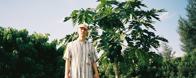 Lauer / Wulff / Strauß // Andrés Coll Odyssey