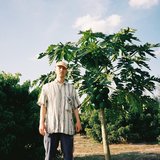 Lauer / Wulff / Strauß // Andrés Coll Odyssey