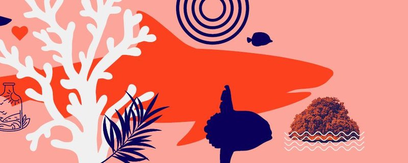 Inseltour – Motto-Event zur Dauerausstellung „Der blaue Kontinent“