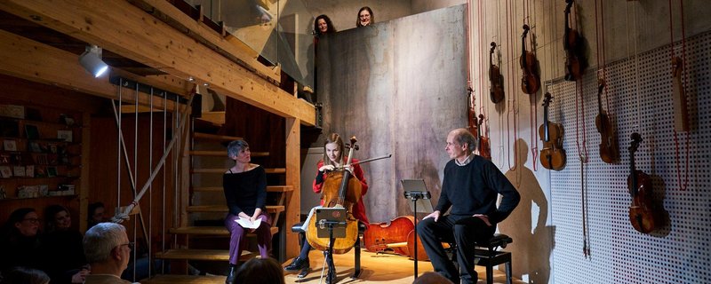 Insight Strings / Workshop Streichinstrumente