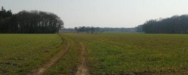Achternmeer - mehr - moor