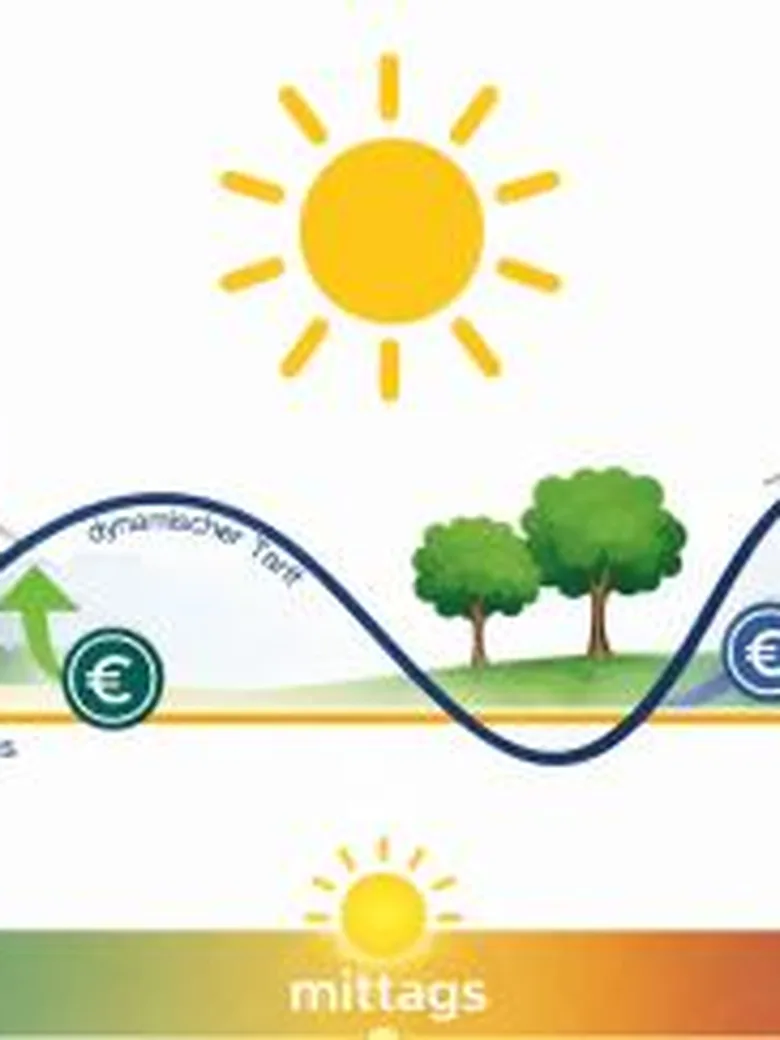 Solarhauptstadt Oldenburg? Energiewende in der…