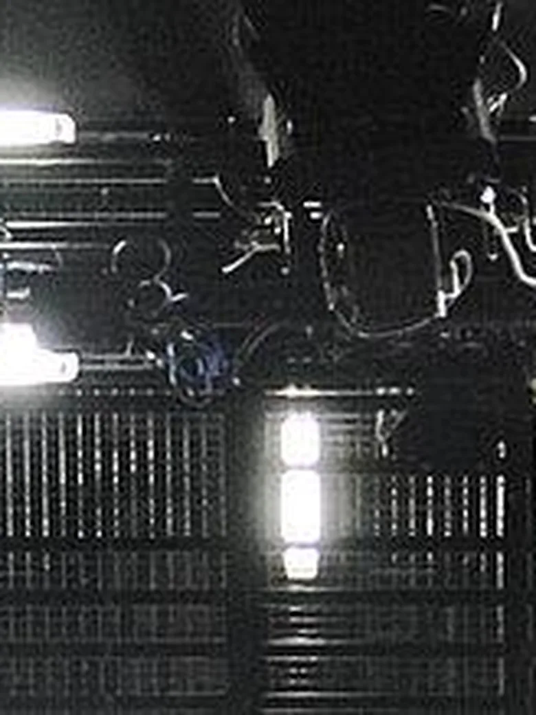 Öffentliche Theaterführung