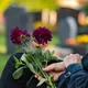 Totensonntag - Andacht auf dem Woltmershauser Friedhof