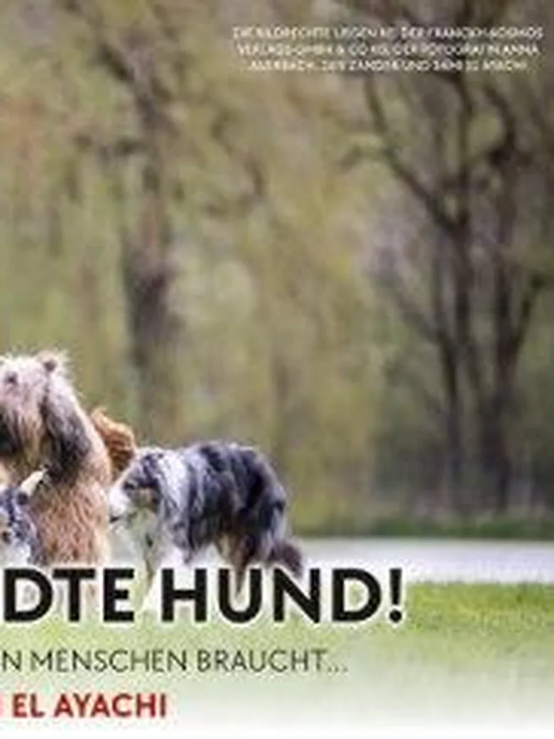 Sami El Ayachi // Der zugewandte Hund! //…