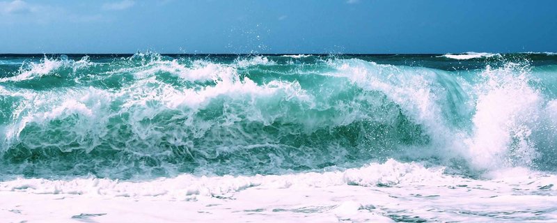 Heilsame Stärkung am Meer