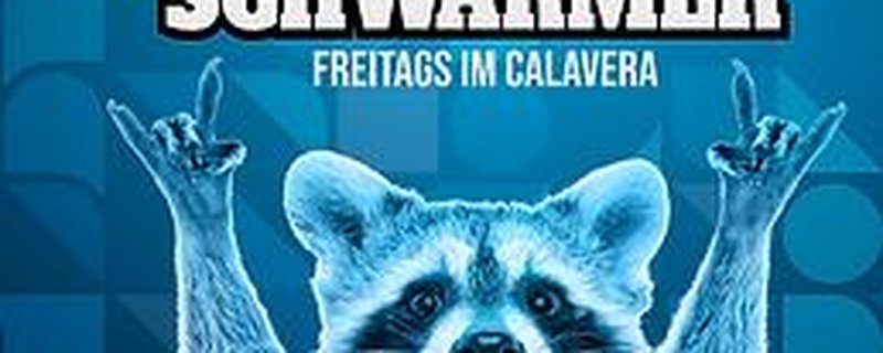Nachtschwaermer