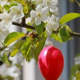 Ostergottesdienst in der Dietrich-Bonhoeffer Gemeinde
