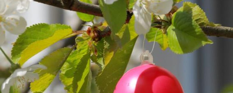 Ostergottesdienst in der Dietrich-Bonhoeffer Gemeinde