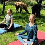 Gnarrenburg erleben: "Yoga mit Alpakas"