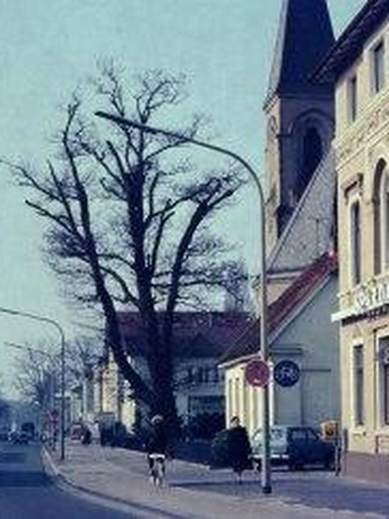 Vielfalt im Glauben – drei Kirchen und eine…