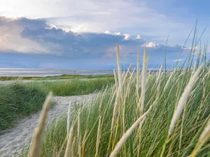 Neujahrsanbaden 2027