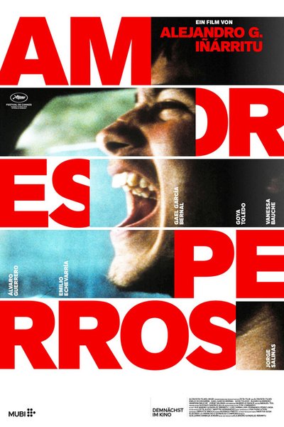 Amores perros