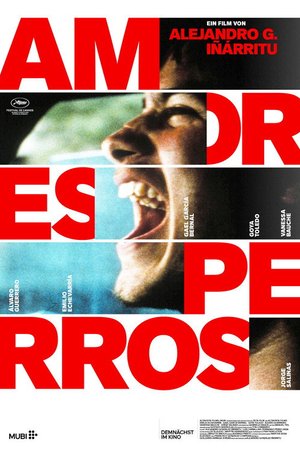 Amores perros