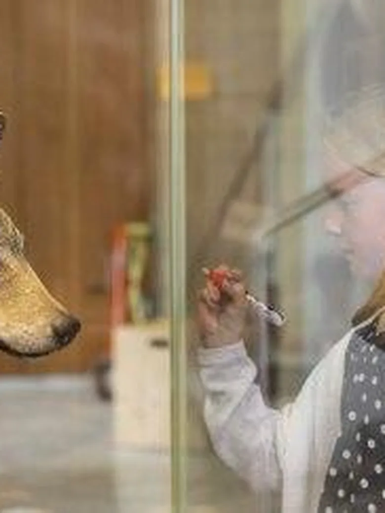 Der Wolf - von Rotkäppchen bis zum neuen…