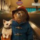 Kinderkino on Tour