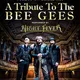 Nights on Broadway – A Tribute To The BEE GEES performed by NIGHT FEVER