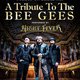 Nights on Broadway – A Tribute To The BEE GEES performed by NIGHT FEVER