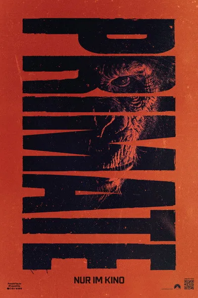 Primate