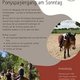 Ponyspaziergang