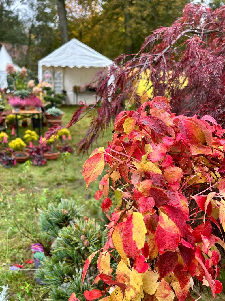 LebensArt Herbstzauber