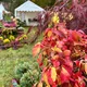LebensArt Herbstzauber