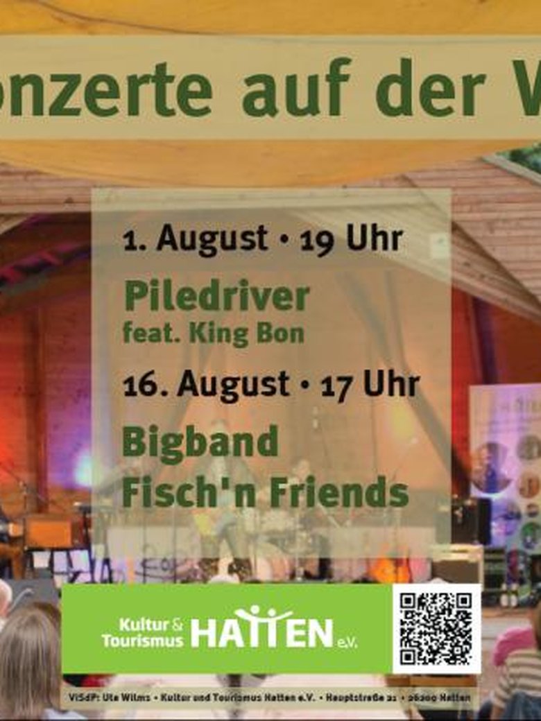 Sommerkonzert: Flaming Moe