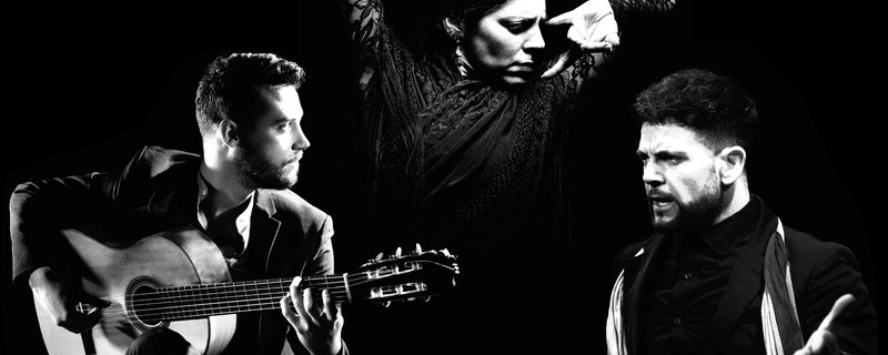 Daniel Martinez Flamenco Company "Art of Andalucia | FLAMENCO-TANZ"