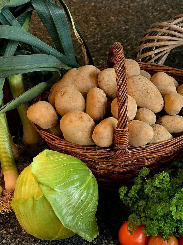 Familiengottesdienst - 17. Sonntag nach Trinitatis - Erntedankfest - mit Kinderchor St. Ansgarii