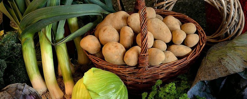 Familiengottesdienst - 17. Sonntag nach Trinitatis - Erntedankfest - mit Kinderchor St. Ansgarii