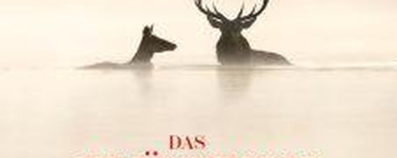 Das Flüstern der Wälder